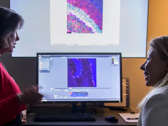 Testing a new therapeutic target for Alzheimer's disease