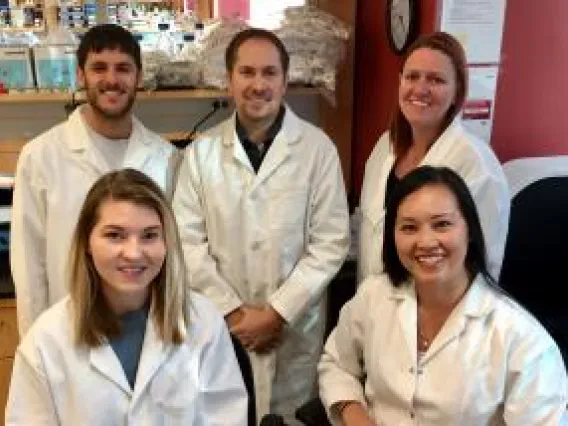 Cholesterol Buildup in Brain Presents New Target to Reduce Dementia Risk from Stroke