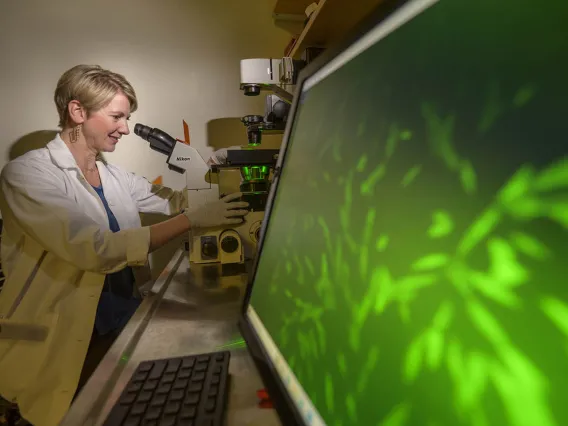 Researchers Determined to Stop the Viruses from Winning