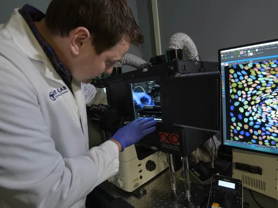 Miniature organs driving precision medicine, drug discovery