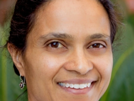 Anita A Koshy, MD