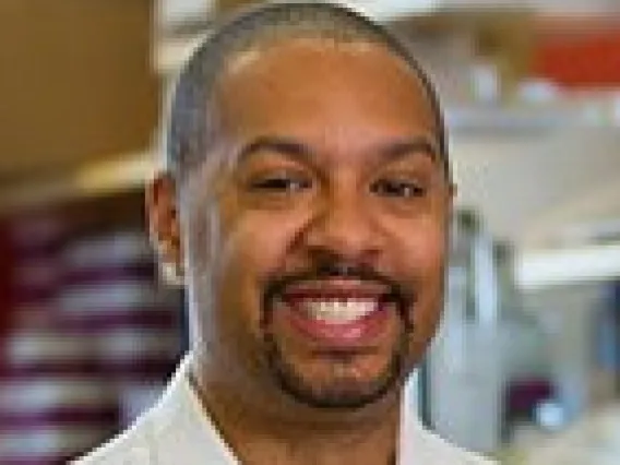 Michael D L Johnson, PhD