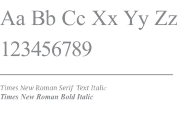 Times New Roman