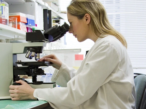 scientist at microscope