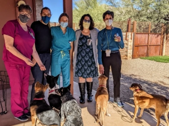 Palliative Team with Dogs