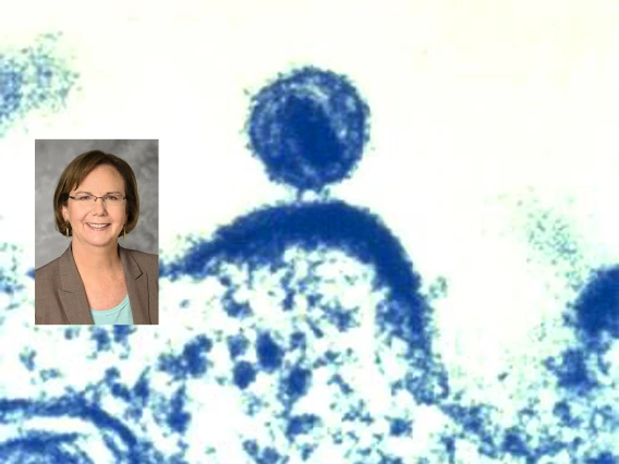A portrait of Elizabeth Connick, MD, inset into an image depicting a single human immunodeficiency virus (HIV), as it was budding from a human immune cell, which the virus had infected, and within which the HIV virus had been replicated. (Credit: NIAID, 2012)