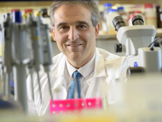 Hossein Ardehali, MD, PhD, associate director of the Sarver Heart Center, associate dean for translational research, director of the Translational Medicine Program and Irving J. Levinson Professor of Cardiology