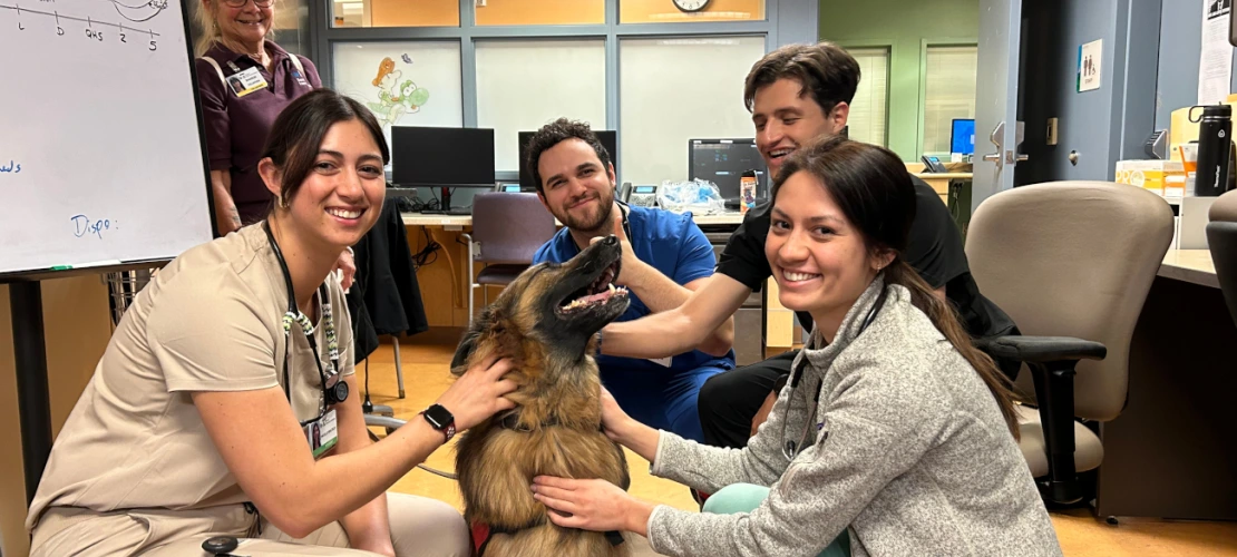 Pediatric Residency Photos
