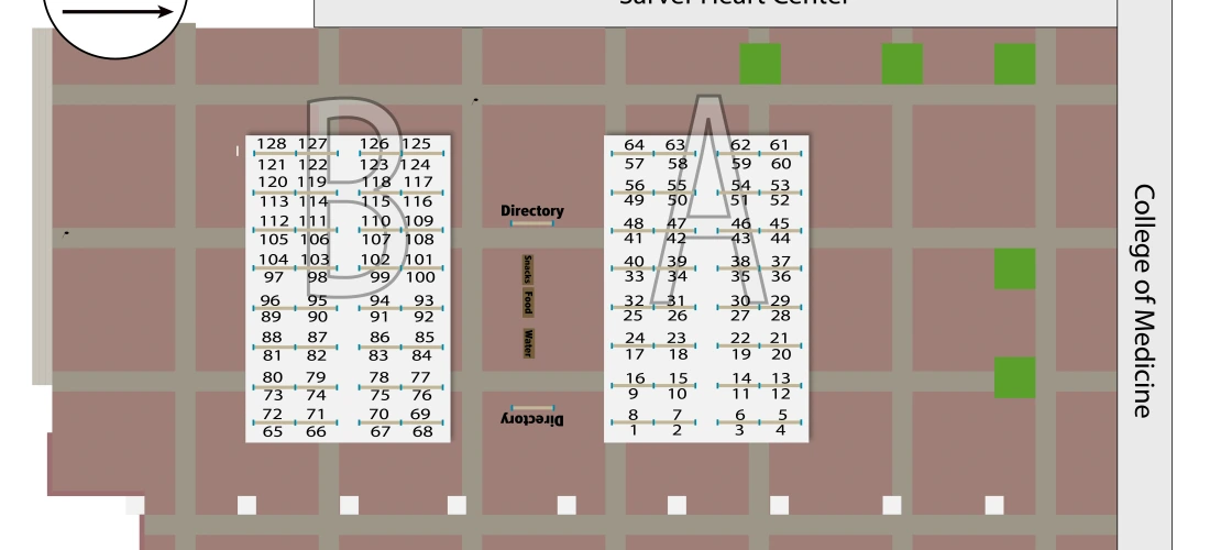 Layout of the April 29 Poster Session