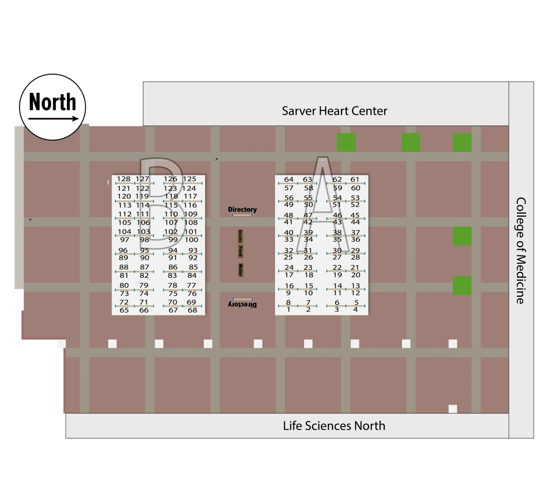 Layout of the April 29 Poster Session