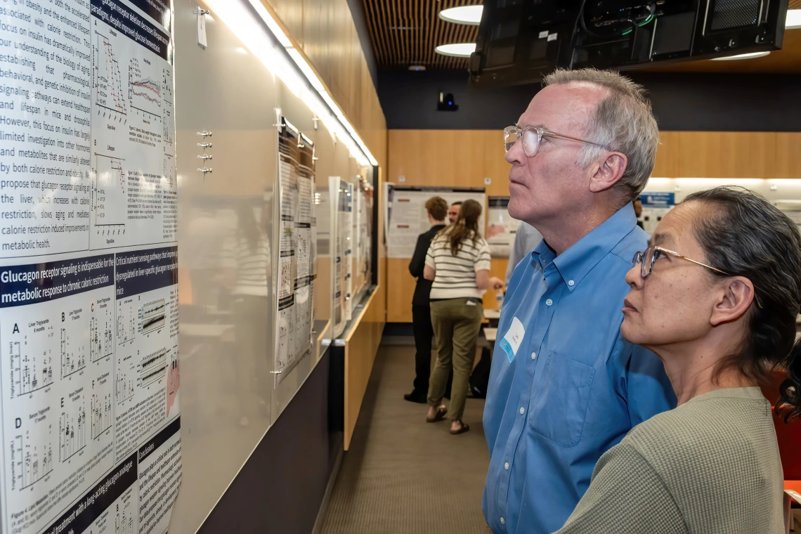 [Cardiology researchers Luke Szweda, PhD, and Patricia Szweda, MS, look at a poster at the SOAR in the DOM research forum.]