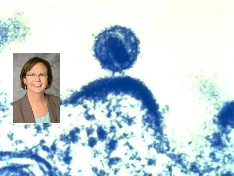 A portrait of Elizabeth Connick, MD, inset into an image depicting a single human immunodeficiency virus (HIV), as it was budding from a human immune cell, which the virus had infected, and within which the HIV virus had been replicated. (Credit: NIAID, 2012)