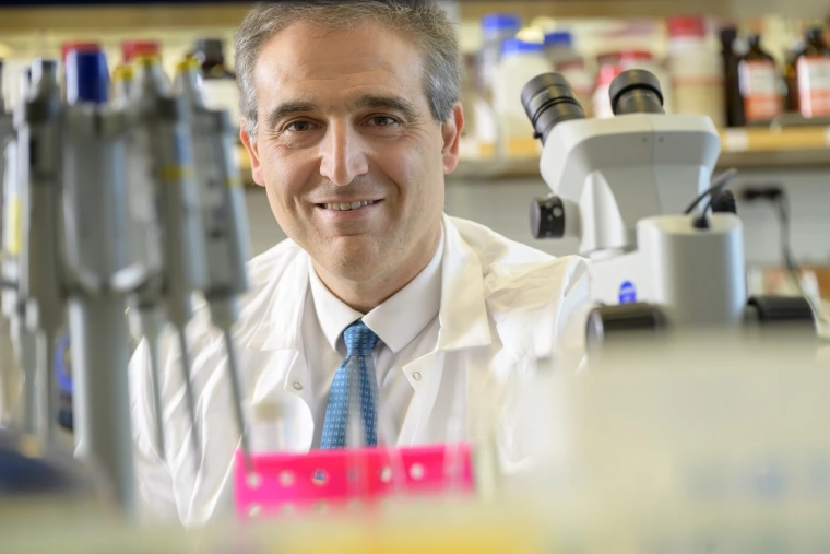Hossein Ardehali, MD, PhD, associate director of the Sarver Heart Center, associate dean for translational research, director of the Translational Medicine Program and Irving J. Levinson Professor of Cardiology